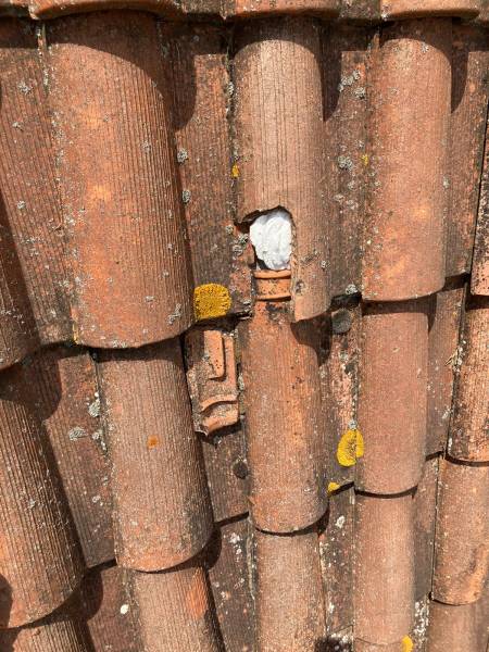 Usure des tuiles après 50 ans : nécessité de remplacer les tuiles par une entreprise spécialisée dans la rénovation de toiture près de Marignane