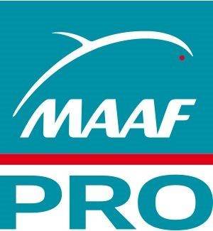 Assurance professionnelle maaf pro Vitrolles