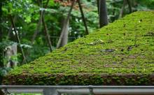 Nos prestations sur le secteur de à La Ciotat 13600